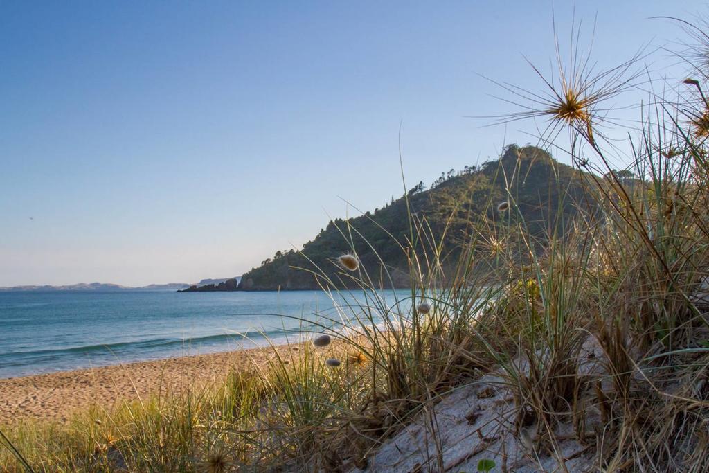 Kuaotunu Ocean Cliff Court 빌라 외부 사진